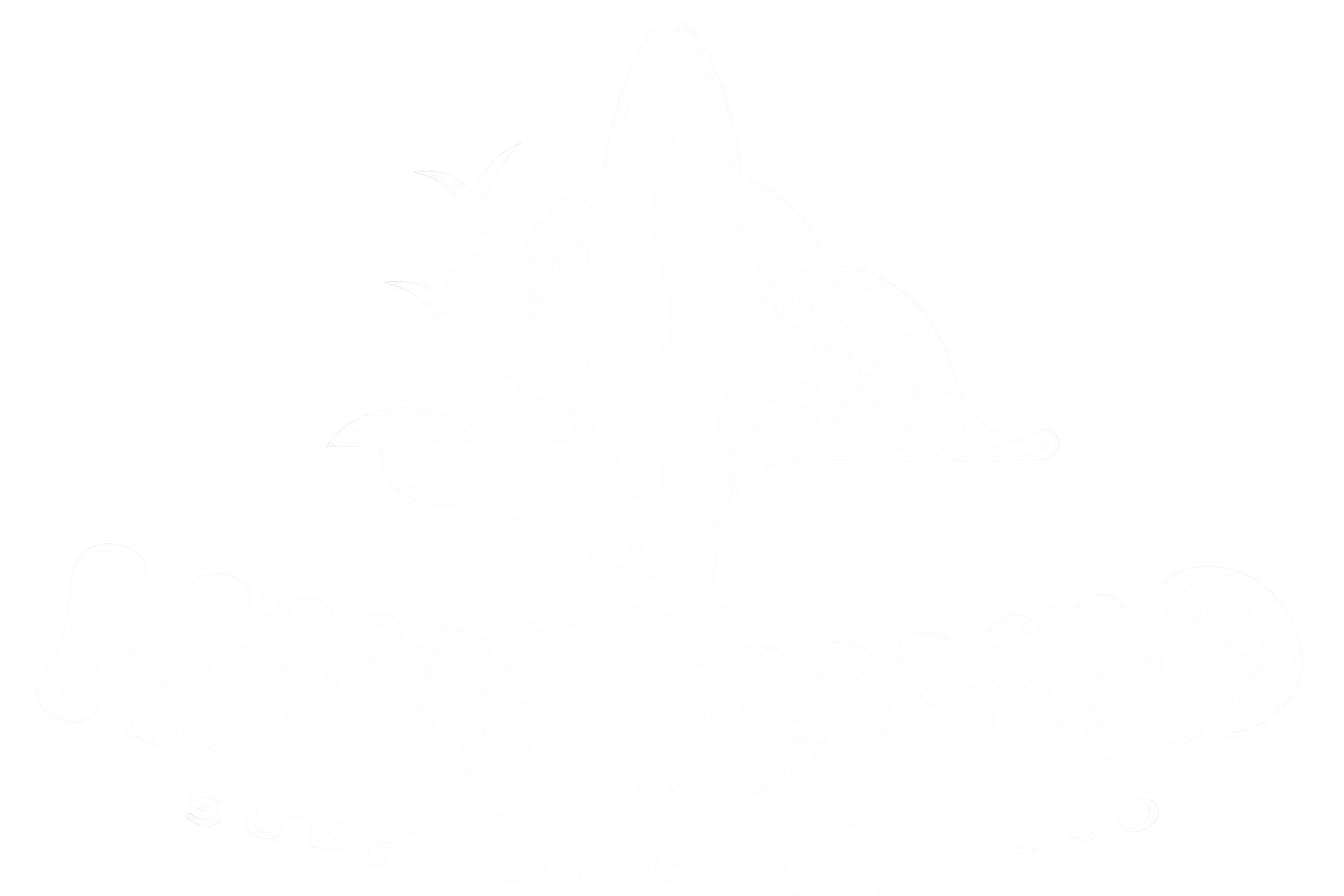 Wave Nomad Surf